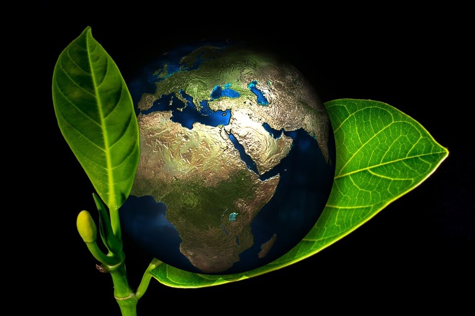 Jorden på ett blad som symboliserar grön energi