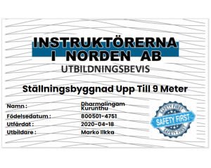 instruktörerna i norden ab - logo